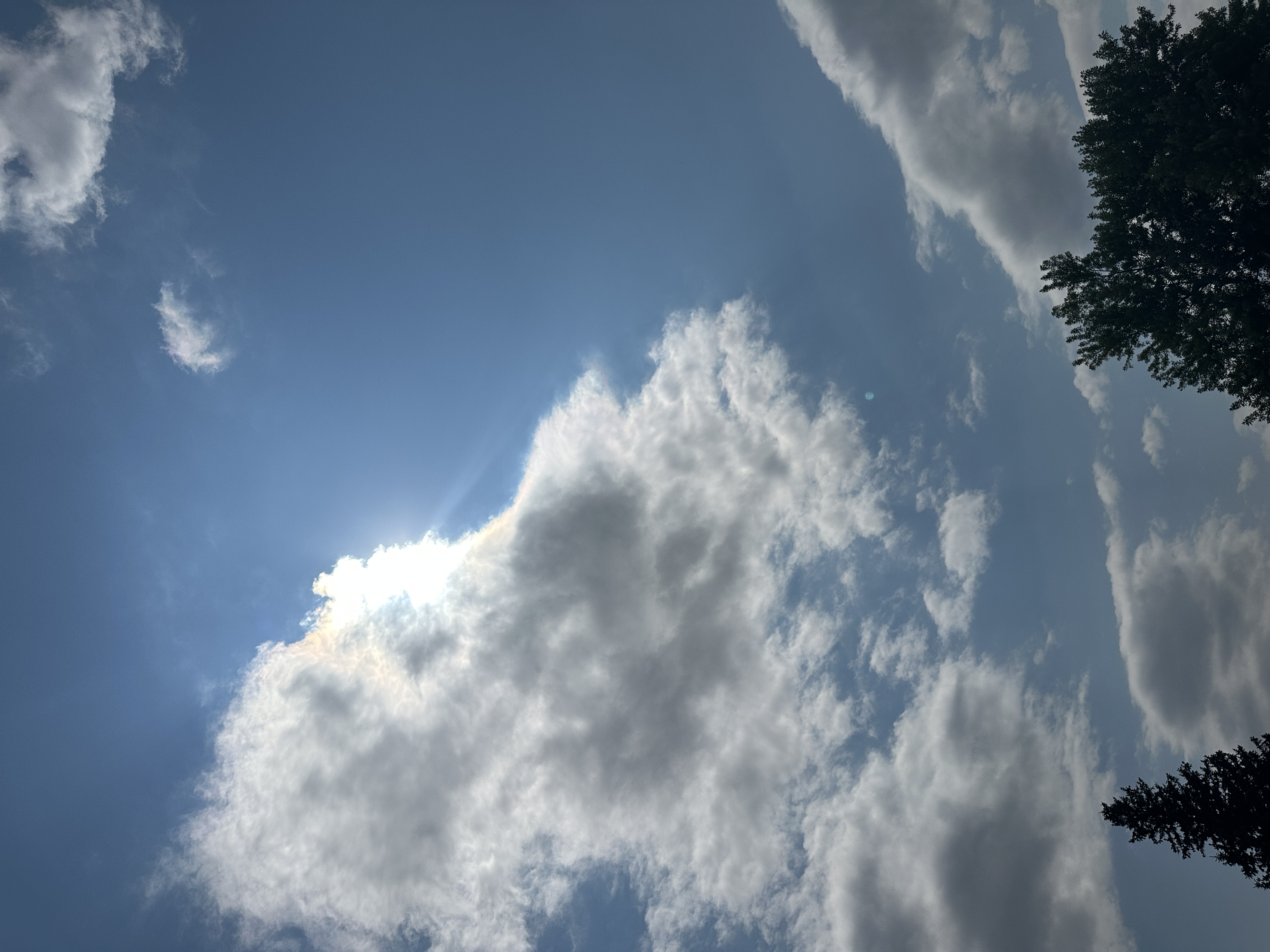 Spearfish weather